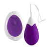 Intense - Oeuf Vibrant Télécommande Jan Lilas
